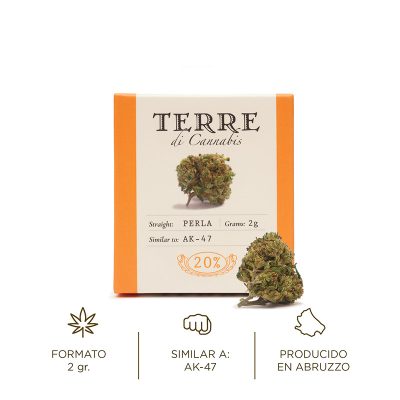 Perla flor aromática de cáñamo CBD Terre di Cannabis