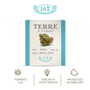 VOLARE Terre Di Cannabis Flor de cáñamo CBD Cannabis light