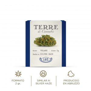 Volare flor aromática cbd cáñamo cannabis light Terre