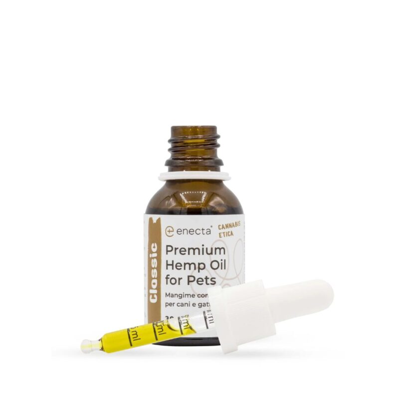 Aceite CBD perros gatos