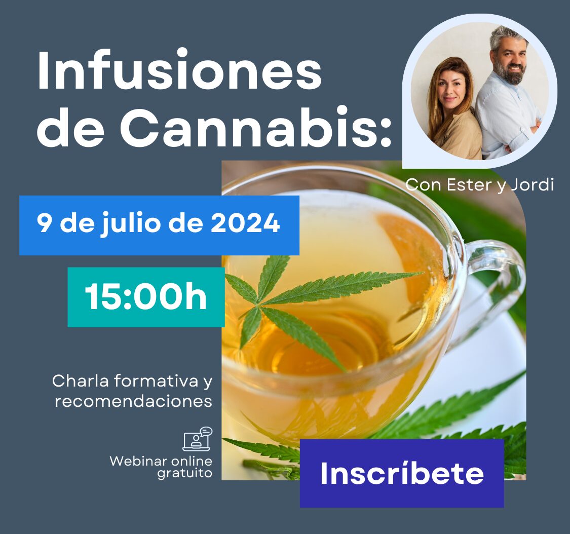 te de cannabis infusiones